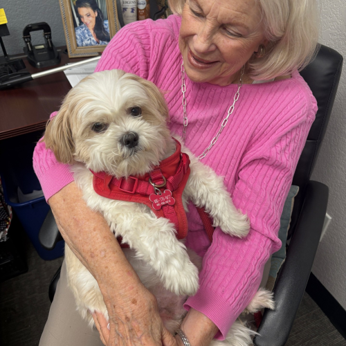 Shelby - Volunteer coordinator and her adorable Sammy